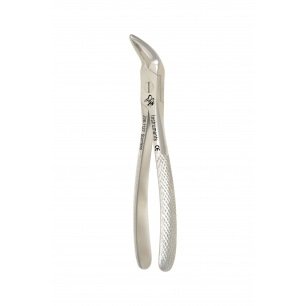 TOOTH FORCEP ENGLISH PATTERN  WITZEL