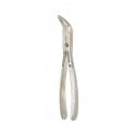 TOOTH FORCEP ENGLISH PATTERN  WITZEL