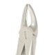 TOOTH FORCEP ANATOMICAL HANDLE  Fig:  7