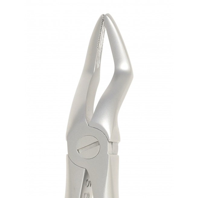 Davier anatomique fig. 51