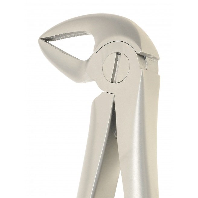 TOOTH FORCEP ANATOMICAL HANDLE  Fig:  33