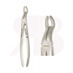 Davier - Dents de sagesse - Supérieures - Fig:67a