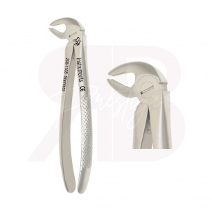 Davier - Canines et prémolaires inférieures - Fig:13