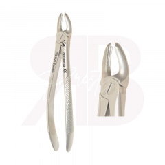 Diver - Molaires spérieures, universel - Fig:18a