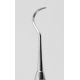 Curette McCall 17/18 S