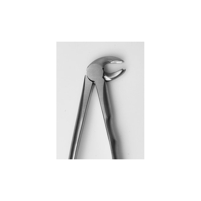 Davier anatomique fig. 22