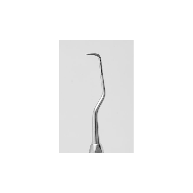 Curette Gracey 11/12