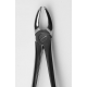 Daviers fig.18A